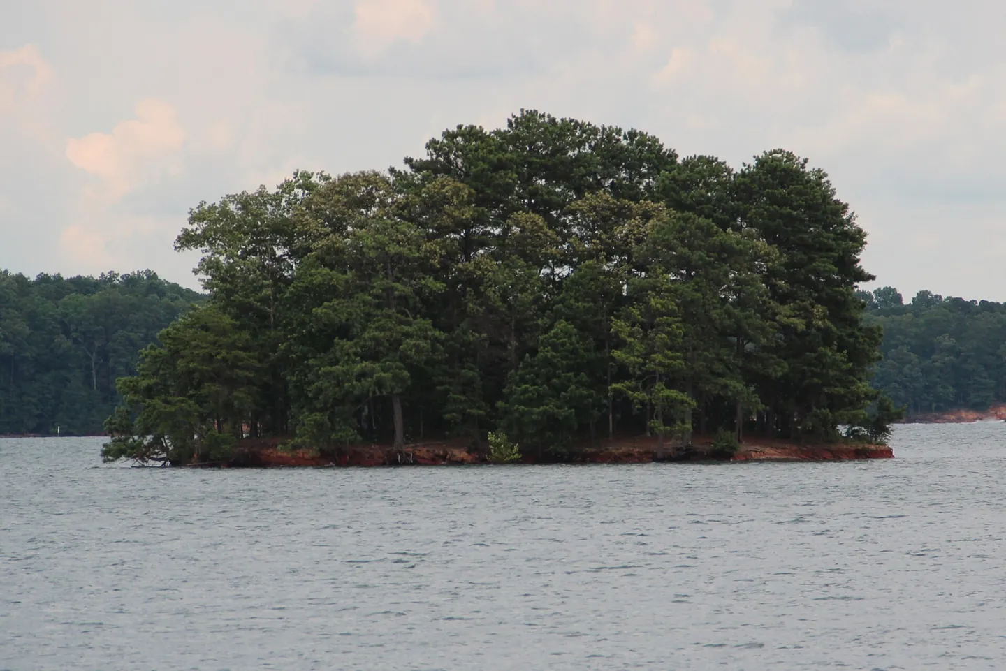An island on Lake Lanier