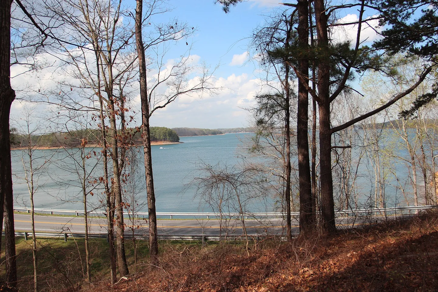 Lake Lanier through the trees