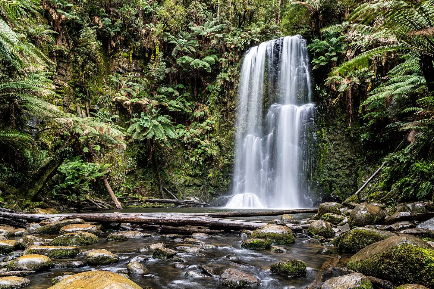 Waterfall study — nature inspiration
