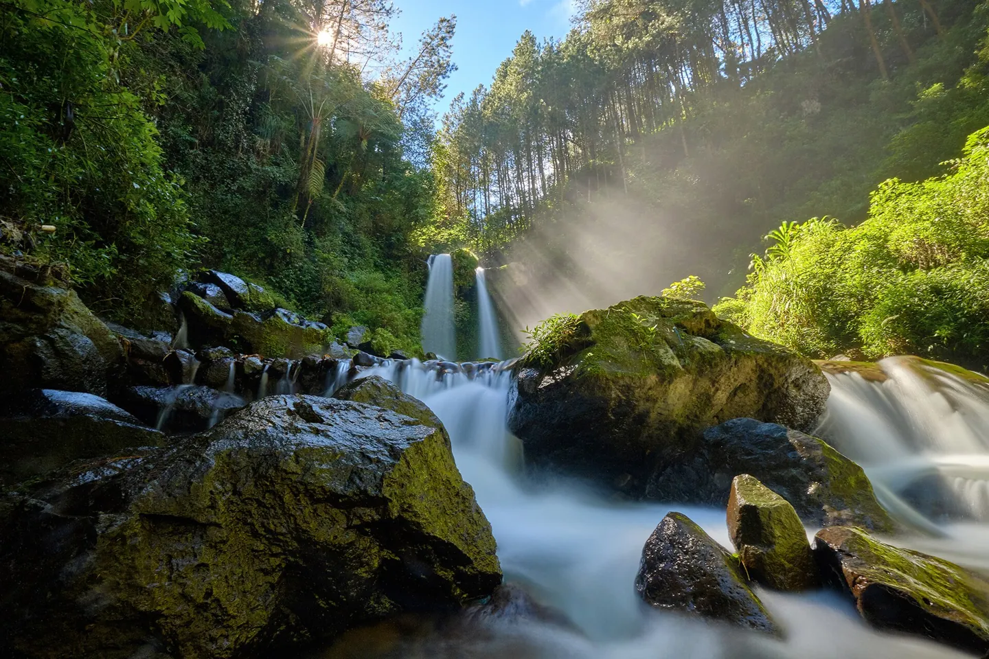 Water and light — nature inspiration